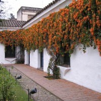 Foto de San Miguel de Tucumán