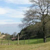 Foto de Villa Nougués