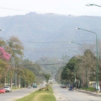 Foto de Yerba Buena