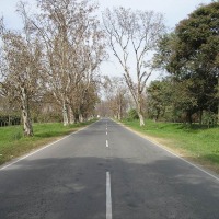 Foto de Yerba Buena
