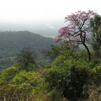 Foto de San Pablo