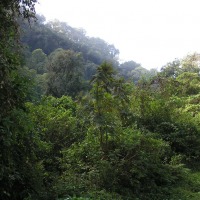 Foto de Reserva Natural Los Sosa