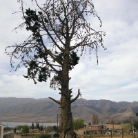 Foto de El Mollar