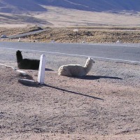 Foto de Abra El Infiernillo