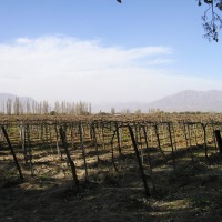 Foto de Cafayate