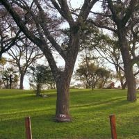 Foto de Salta