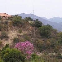 Foto de Salta