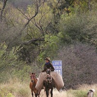 Foto de Salta