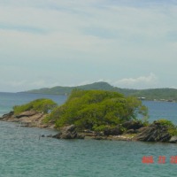 Foto de Roatan