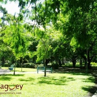 Foto de Camaguey