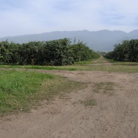 Foto de San Pablo