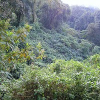 Foto de Reserva Natural Los Sosa