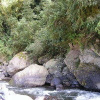 Foto de Reserva Natural Los Sosa