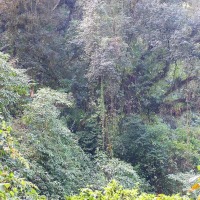 Foto de Reserva Natural Los Sosa