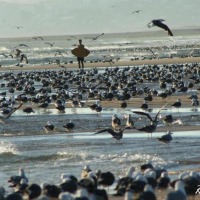 Foto de Costa de Caparica
