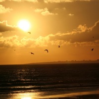Foto de Costa de Caparica