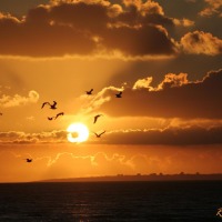 Foto de Costa de Caparica