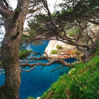 Foto de Aiguablava