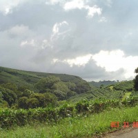 Foto de San Isidro de Alajuela