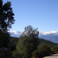 Foto de QUILPUE