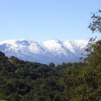 Foto de QUILPUE