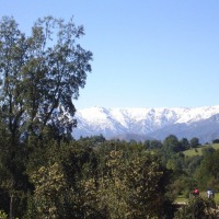 Foto de QUILPUE