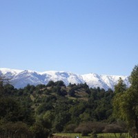 Foto de QUILPUE