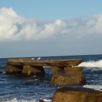 Foto de Mar del Plata