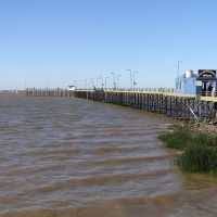 Foto de Olivos