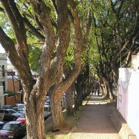 Foto de San Isidro