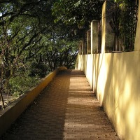 Foto de San Isidro
