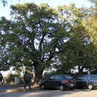 Foto de San Isidro