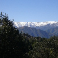 Foto de QUILPUE