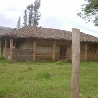 Foto de TINJACA
