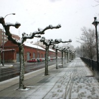 Foto de Palencia