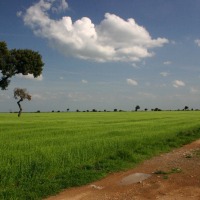 Foto de Palencia