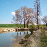 Foto de Palencia