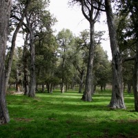 Foto de Soria