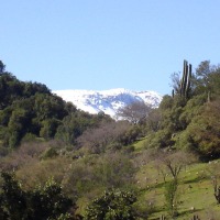 Foto de QUILPUE