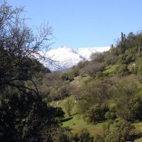 Foto de QUILPUE