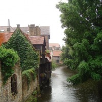 Foto de Brujas