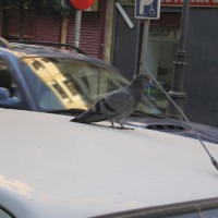 Foto de Madrid