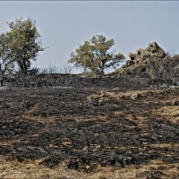 Foto de Alto Tajo
