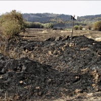 Foto de Alto Tajo