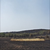 Foto de Alto Tajo