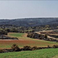 Foto de Alto Tajo