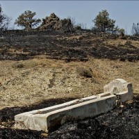 Foto de Alto Tajo