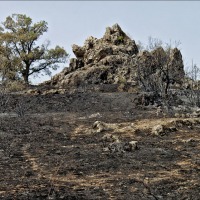 Foto de Alto Tajo