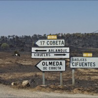 Foto de Alto Tajo