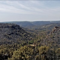 Foto de Alto Tajo